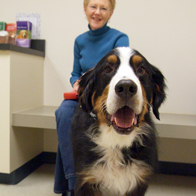 Healthy Pet Tips