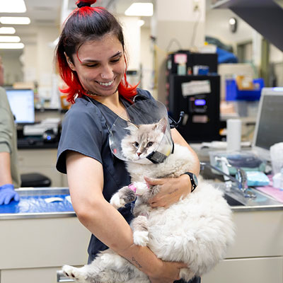 emergency department staff