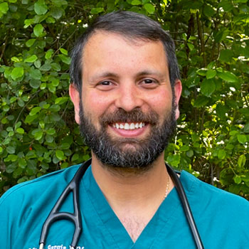 Dr. Mina Gergis