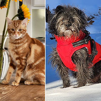 Dr. Maggio's pets
