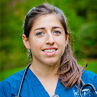 Jodi McWilliams