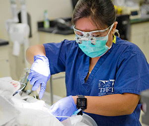 Dentistry & Oral Surgery Services at Tufts Veterinary Emergency Treatment & Specialties